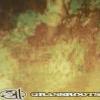 311grass